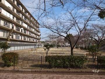 敷地南側に隣接する公園