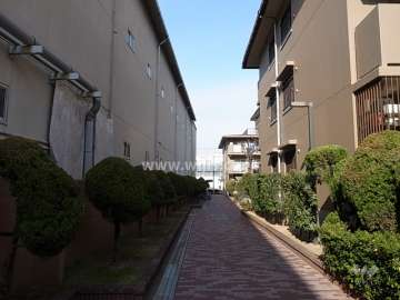 B棟の西側通路。敷地の各所に植栽スペースが設けられています。
