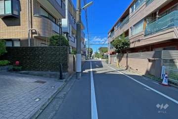 敷地東側の前面道路（南側から）