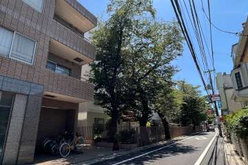 弦巻ハイコーポの外観(北側から)