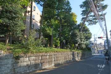 敷地西側の前面道路（北側から）