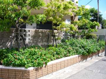 敷地内には緑が多く植えられています