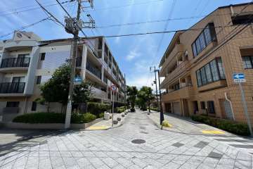 敷地南西側の前面道路(北側から)