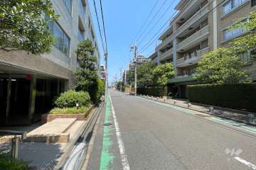敷地の西側前面道路（南側から）