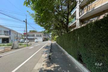 敷地の南側前面道路（東側から）
