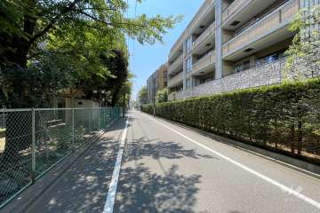 敷地の東側前面道路（北側から）