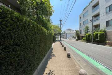 敷地の西側前面道路（北側から）