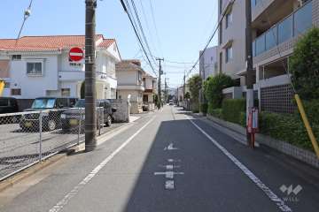 敷地東側の前面道路（北側から）