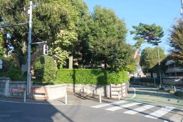 敷地南側の前面道路