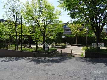 敷地の南側前面道路の対側ある「朝日ヶ丘第3児童遊園」※マンションの敷地3方向が公園に囲まれています。