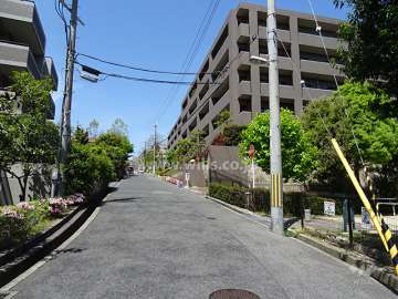 敷地南側の前面道路（東側から）