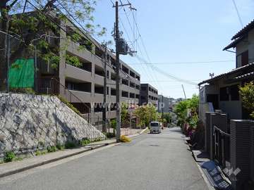 敷地南側の前面道路（西側から）