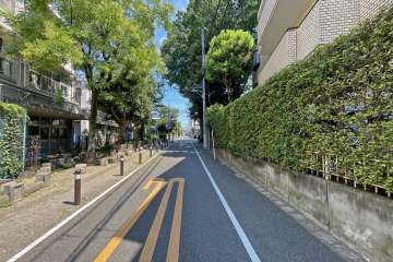 敷地西側の前面道路（南側から）