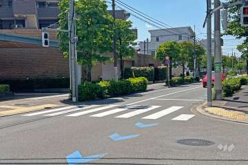 敷地の北側前面道路(北東側から)