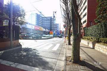 敷地東側の前面道路（北側から）