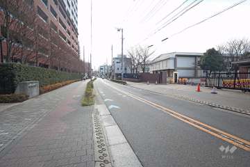 敷地西側の前面道路（南側から）