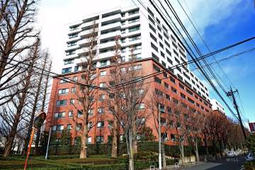 ラコルダ弦巻フォレストコートの外観（南側から）