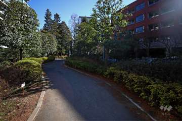 敷地内の遊歩道