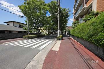 敷地南東側の前面道路（東側から）