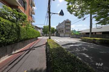 敷地南東側の前面道路（西側から）