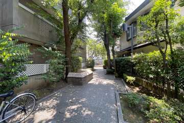 敷地西側の前面道路（北側から）