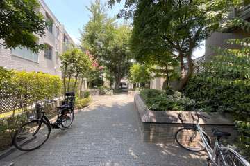 敷地西側の前面道路（南側から）