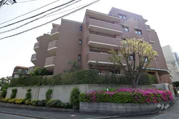 東急ドエル・アルス芦屋エスタシアの外観（北東側から）