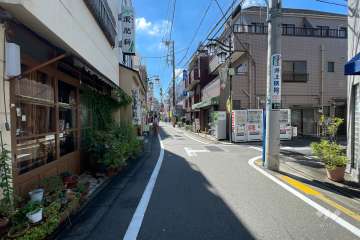 敷地北西側の前面道路（北東側から）