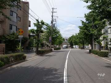 敷地西側の前面道路は並木のきれいな通りです。