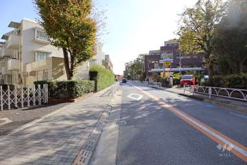 敷地西側の前面道路（北側から）