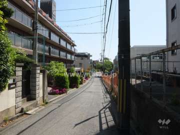 敷地南側の前面道路（西側から）