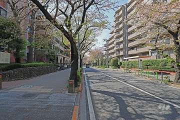 敷地北側前面道路