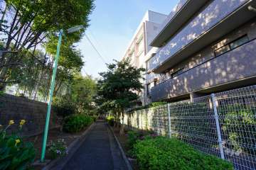 敷地西側の前面道路（南側から）