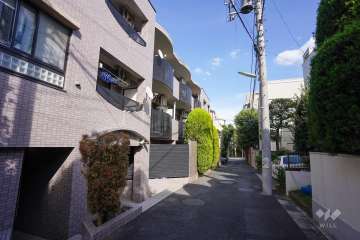 敷地南側の前面道路（西側から）