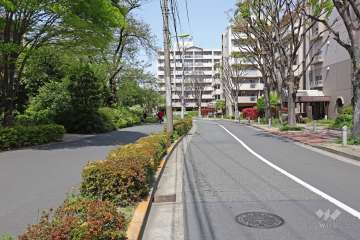 敷地東側の前面道路（南側から）
