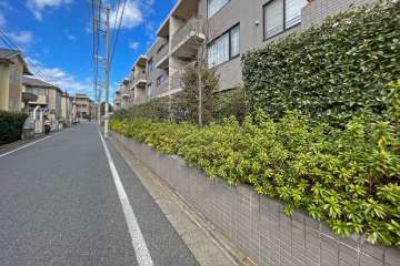敷地西側の前面道路（南側から）