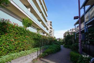 敷地南側の通路