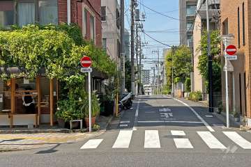 敷地の東側前面道路(南東側から)