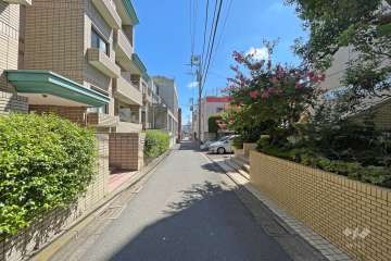 敷地北側の前面道路（西側から）