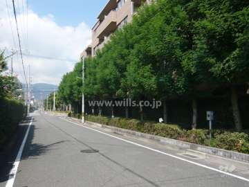 敷地西側の前面道路。敷地の周囲に植栽スペースが設けられています。
