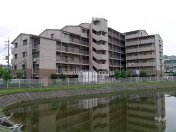 敷地の東側には池があります。