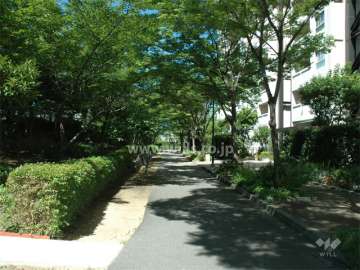 敷地内はたいへん緑豊かです。