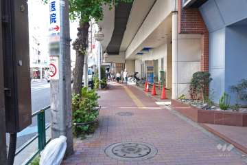 敷地北側の前面道路（西側から）