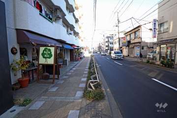 敷地南側の前面道路(西側から)