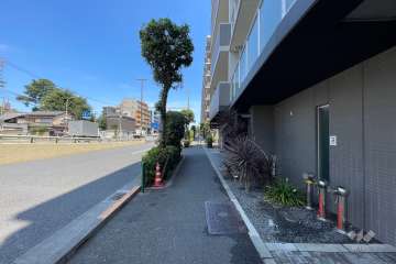 敷地西側の前面道路（南側から）
