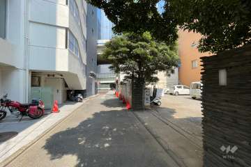敷地南側の前面道路（西側から）