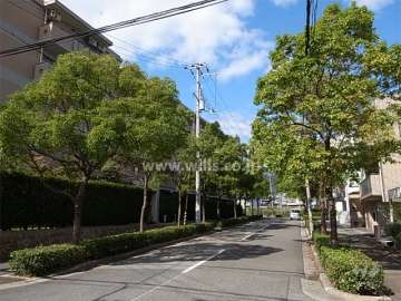 敷地の東側は街路樹のきれいな通りです。