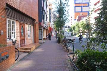 敷地南側の前面道路（西側から）