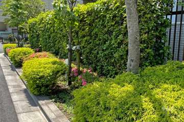 敷地の各所に植栽スペースが設けられています。