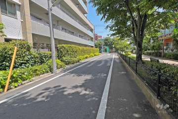 敷地の南東側前面道路(南西側から)